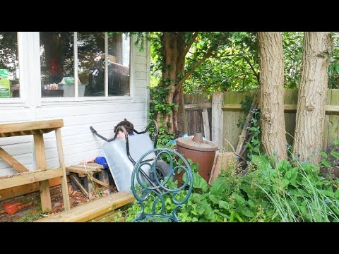 Hide & Seek ASMR (Outside)