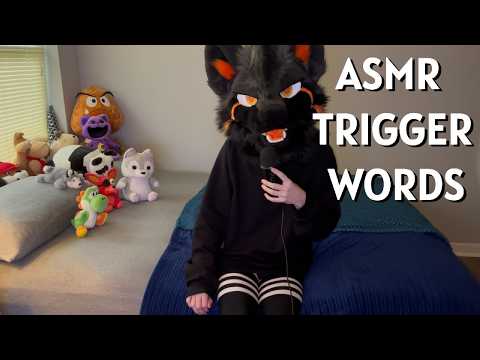 [Furry ASMR] Furry Femboy Relaxes You With Some Trigger Words