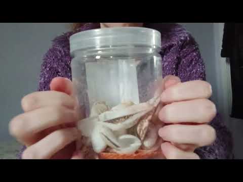 ASMR - Back Of Nail Tapping 
