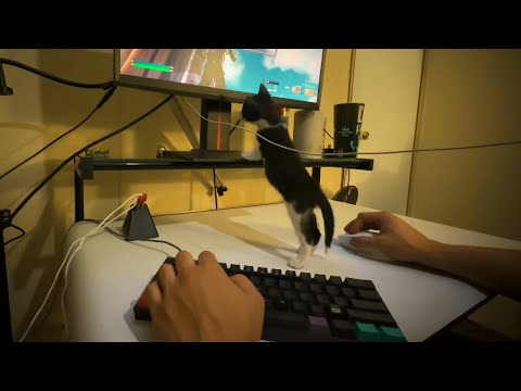 Background keyboard sounds + cute kitty ^^