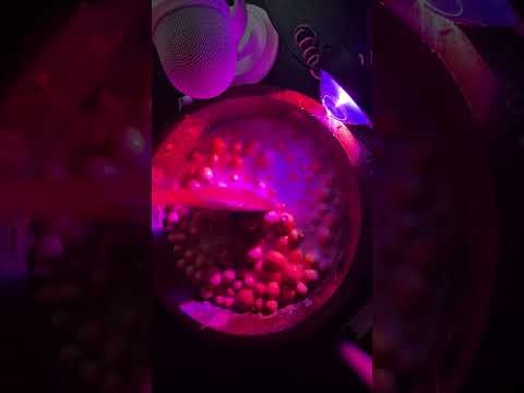 20 Mins ASMR ~Wood Soup With Herbs - Wood Sounds - Wood&Water Trigggers - Brain Massage💆🥱😴🛌