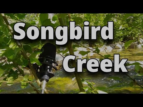 Songbirds by the Creek 25 minutes of Sleep Sounds - No talking #ASMR #SleepAid