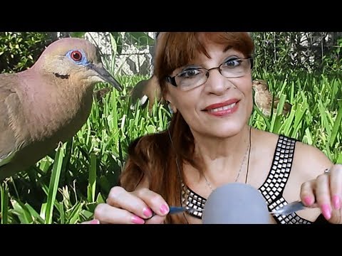 ASMR PLUMAS Y PAJAROS/SONIDOS COSQUILLOSOS🦅 FEATHER AND BIRD SOUNDS🐦