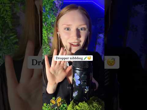 Dropper nibbling ASMR 😍🫠#asmr#асмр