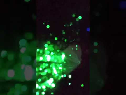 ASMR | Fuegos Artificiales 🎆🎧 #asmr #mouthsounds #asmrvisual