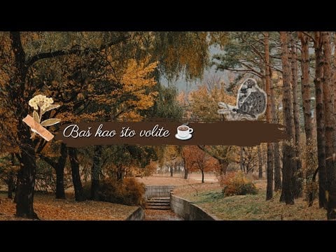 Vlogčina / ☕✨ haul + čišćenje + itd
