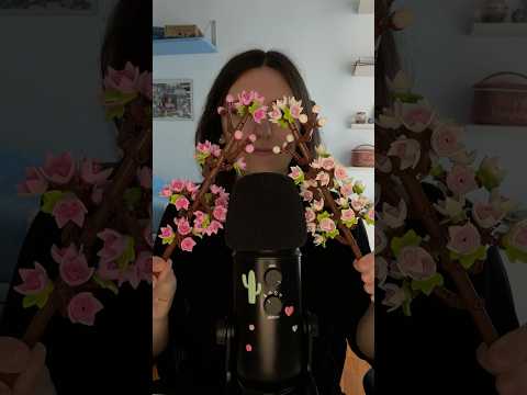 Lego ASMR 🌺 #asmr #asmrita #asmrsounds #shorts #lego #asmrcommunity