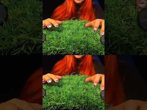 This Sound Is So Satisfying… 😍 | ASMRScratching (No Talking) #tingles #shorts #asmr