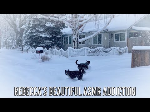 My little snow walk adventure! Not ASMR! (Regular voices and Dogs barking)