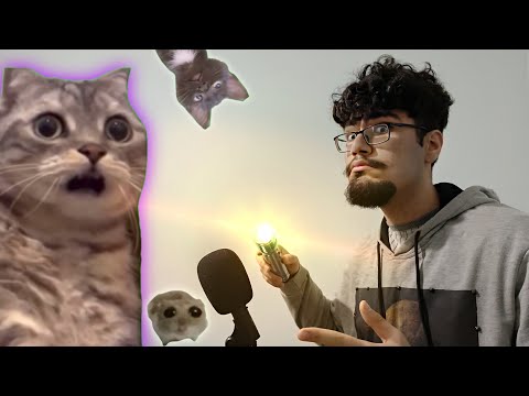 [ ASMR ] Cranial Nerve Exam For Cats 😺(Roleplay Medical Exam)