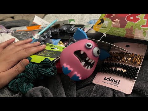 ASMR Dollar Tree Haul No Talking