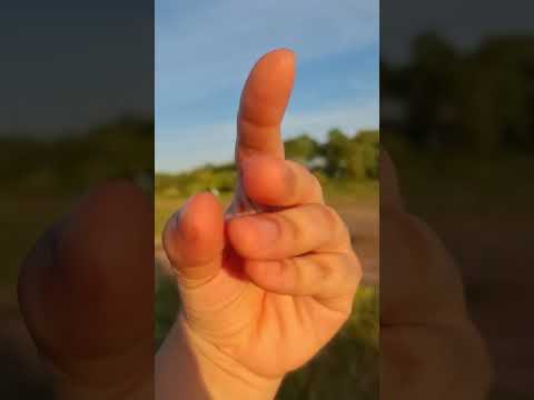ASMR natureza