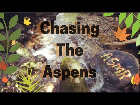 🍂 Chasing The Aspens 🍂 Soft Whispers & Reading Poetry 🌿 ASMR  Nature | Fall Colors