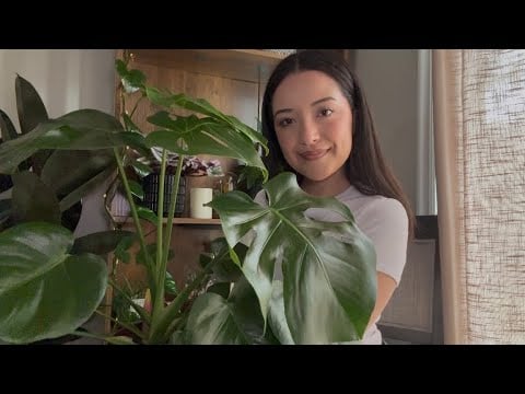 ASMR | Soft spoken | Showing you my plants 🌱🪴