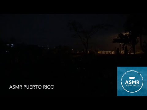Rain at Night | Calm Tropical Ambience | Relaxing ASMR Sounds
