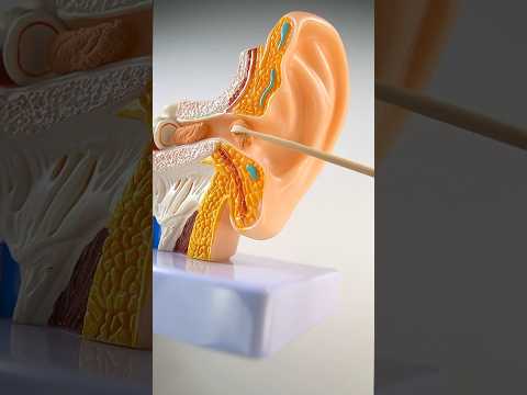 Earwax cleaning ASMR  #asmr #satisfying #asmrvideos