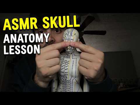 ASMR Anatomy of the Skull | Anterior View