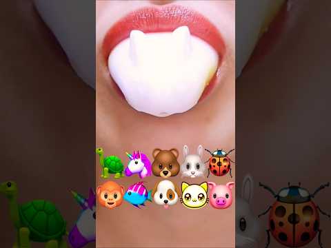 @AngelEATING777 asmr HONEY ANIMAL EMOJI FOOD JELLY 꿀 동물 이모지 젤리 먹방 eating sounds