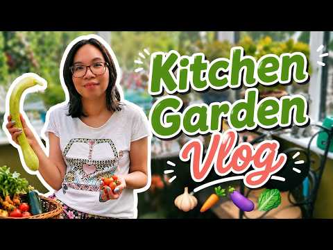 ASMR Fruit & Vegetable Garden Vlog (soft spoken ish) 🍅 August 2026 Update 🌽