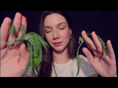 ASMR PARA ALIVIAR ANSIEDADE, ANGÚSTIA | Ouça TODOS os Dias ANTES do TRABALHO | AFIRMAÇÕES POSITIVAS