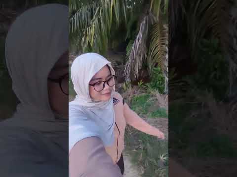 JOGGING HARI KE TIGA 🏃🏃 #asmrvideo #mukbang #asmr