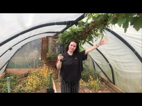 Outdoor ASMR in My Garden Tunnel 👩‍🌾