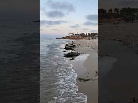 Te relajará este sonido 🩵🌊 #asmr #relax #asmrsounds #asmrcommunity #ocean #oceansounds