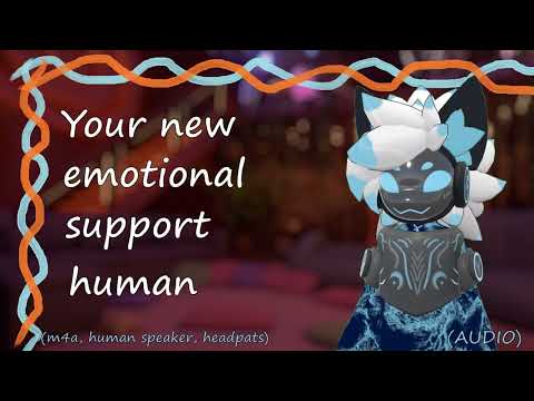 [Furry ASMR] Your new emotional support human [m4a, human speaker, furry listener, headpats]