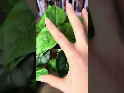 Aggresive 🌱 plant 🪴 ASMR #fastasmr