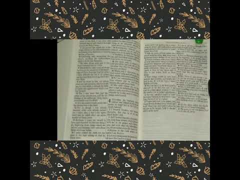 CHRISTIAN ASMR: BIBLE 📖 READING WITH OMY #2 (PHILIPPIANS 4)-Whispering-