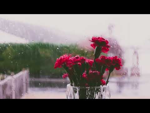 ASMR Afirmacoes Positivas com Chuva para Dormir Bem #Sussurros #Chuva