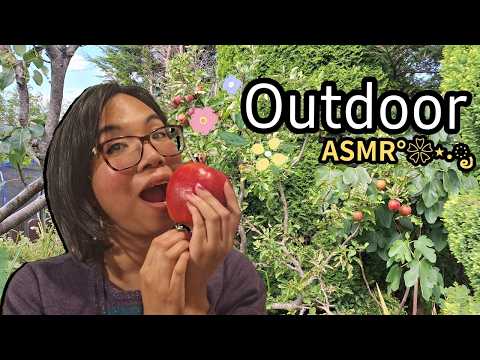 ASMR Outdoors Homegrown Fruits and Nature Sounds for Sleep (Tapping, Bird Song)🍎🍈