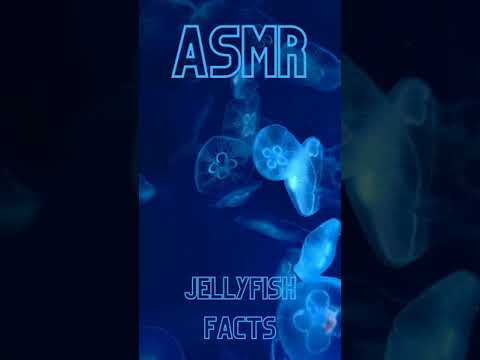 Binaural ASMR Jellyfish facts #Shorts