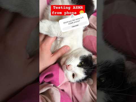 ASMR | This is posted straight FROM a phone. What do you think? Do you like lo-fi?