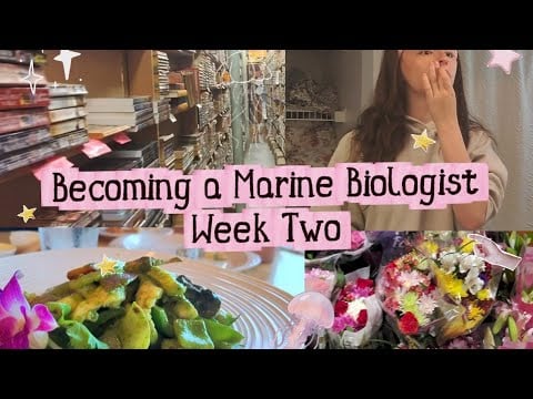 Becoming A Marine Biologist 🌊Week 2 (A Diaries) 
