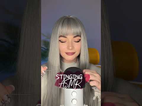 Sounds purrfect, right?🫠 #asmr #asmrsounds