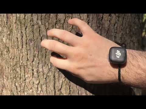 ASMR Hiking to Claypit Pond | Nature Walk