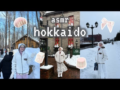 Hokkaido Diaries ❄️ Winter Ambience & Cozy Scenery🧸🤍 (ASMR Scenery)