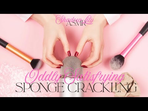 ASMR Crackling Sponge Sounds for Sleep 💤| No talking ASMR | Pure Tingles