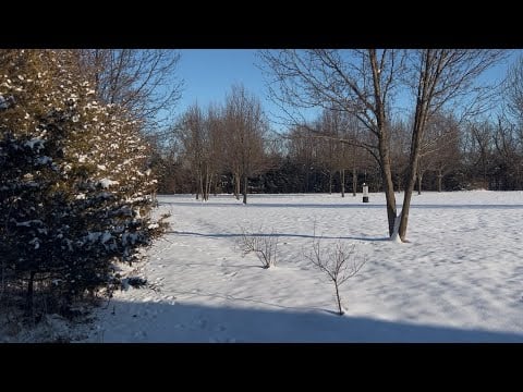 ASMR Calm Winter Walk in the Snow ❄️ | Soft Whispering, Outdoor, Relaxing