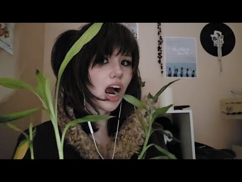 completely natural lofi asmr... (don't look behind u)