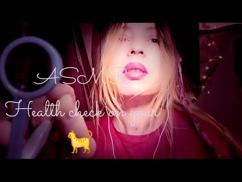 ASMR | Health checking on your cat 😺🐈🐈 | cat sounds, measuring