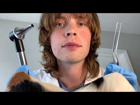 ASMR Cat Ear Cleaning 🐱