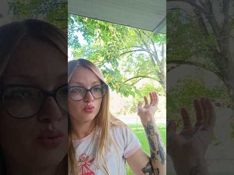 lofi asmr outside 🌳☀️🦋🍃