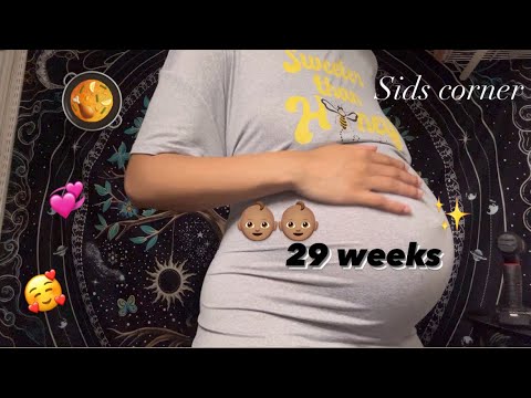 Vlog #211 - Almost 30 Weeks Pregnant With Twins