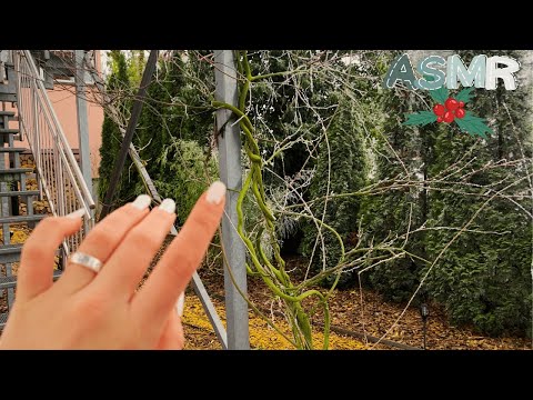 Relaxing Nature ASMR in my Garden (Lofi ASMR for Charity)🌿❄️