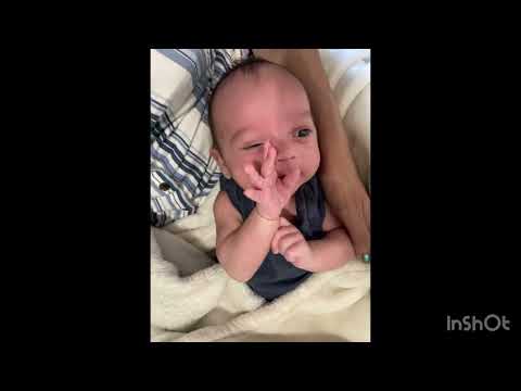 Real Life Baby Yoda