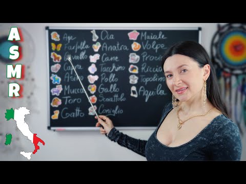 Learn Italian With Me *Soft Spoken ASMR