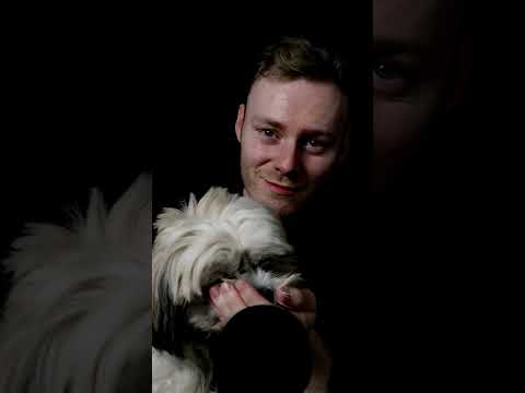 ASMR | Small dog eating Triggers | #shorts #asmr #dog #eating