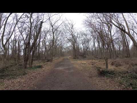 ASMR Hiking by a Calm River With Chirping Birds (Part 1)